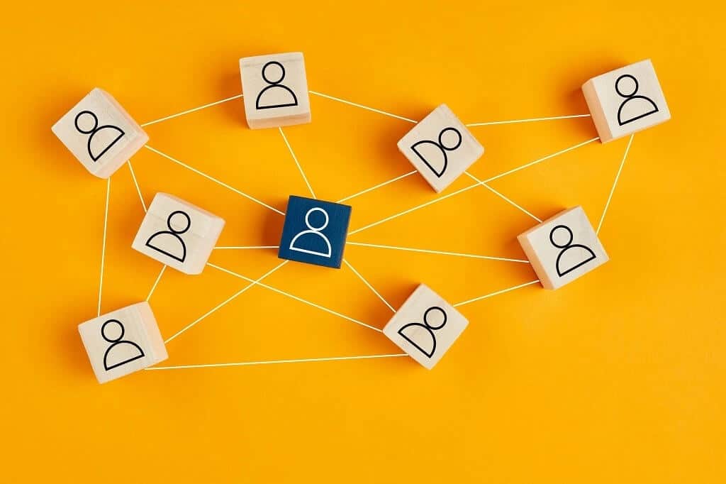 Link Building Expert